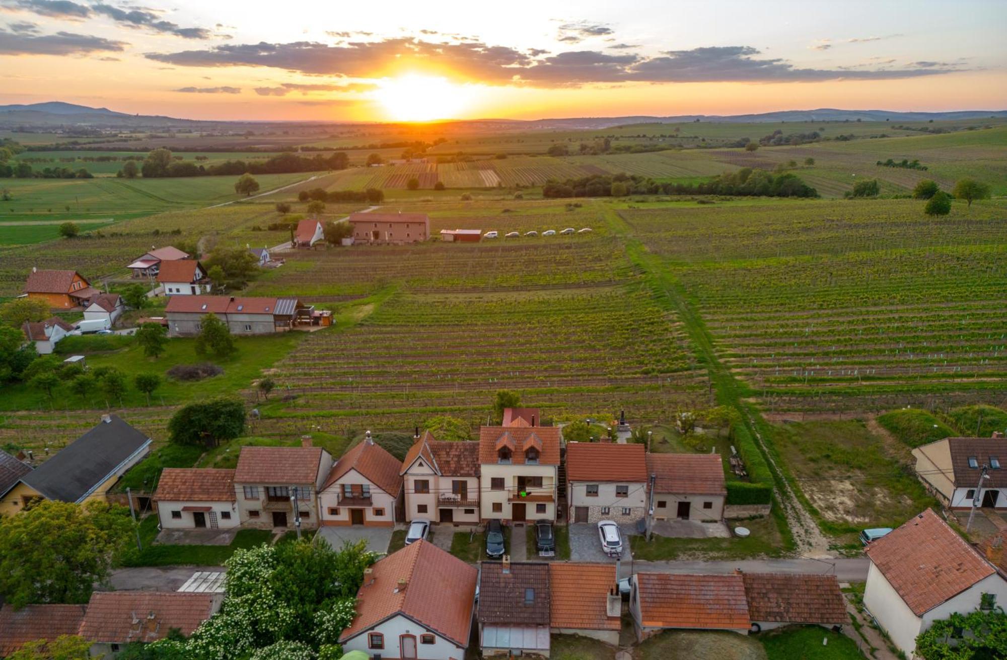 Vinný Sklep Monty Velké Bílovice Exterior foto